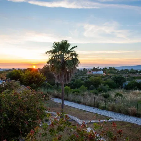 Bela Vista * 埃斯坦巴